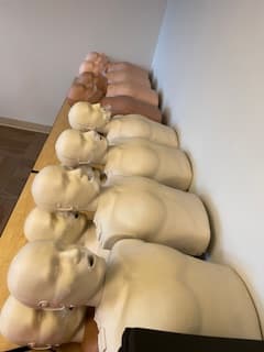 Row of CPR manikins set up before a group training session.